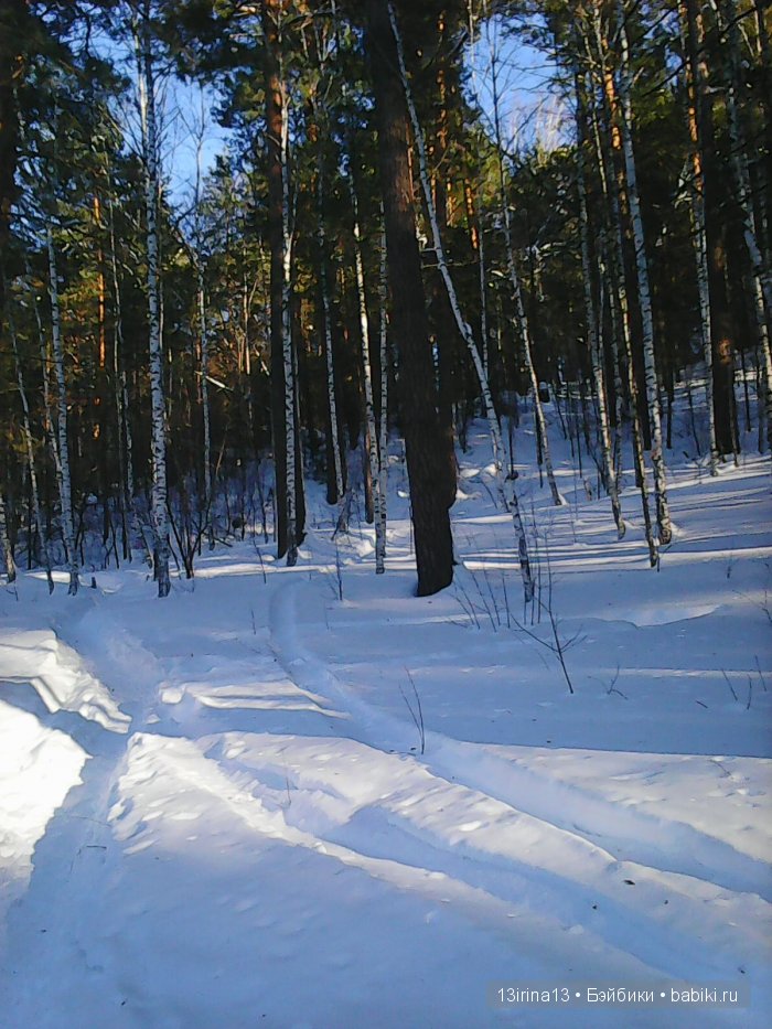 Интересное наблюдение за птицами у кормушки (фото 4)