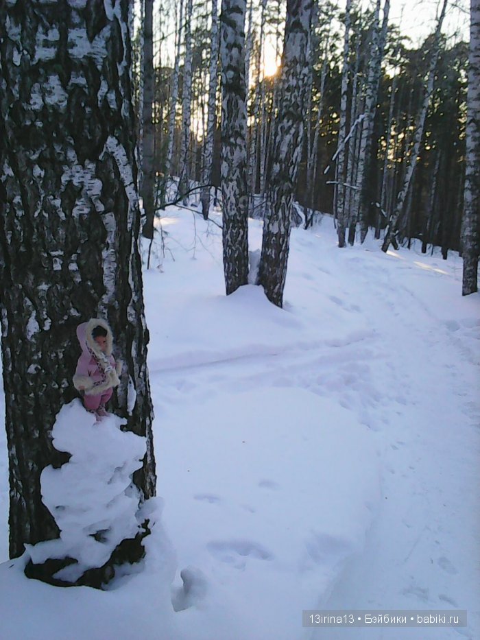 Интересное наблюдение за птицами у кормушки