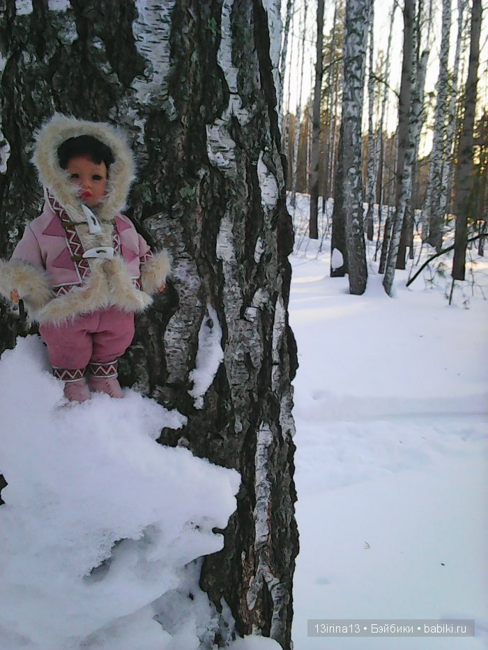 Интересное наблюдение за птицами у кормушки