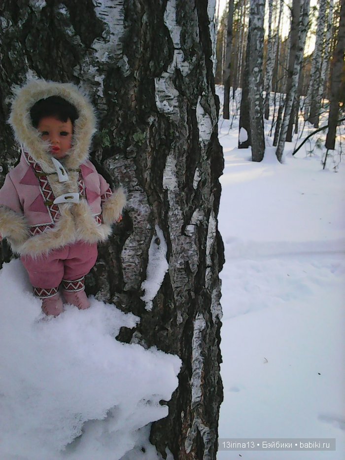 Интересное наблюдение за птицами у кормушки