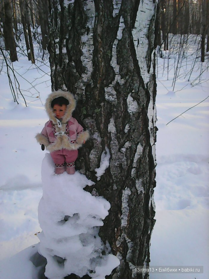 Интересное наблюдение за птицами у кормушки