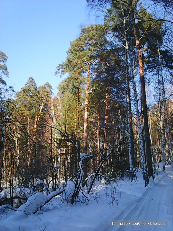 Интересное наблюдение за птицами у кормушки (фото 2)