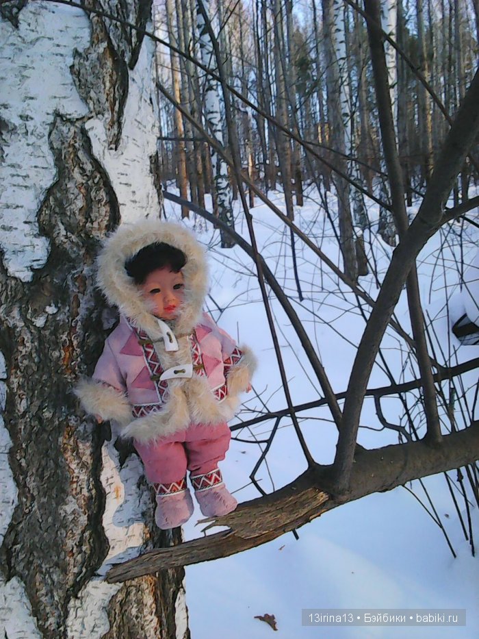 Интересное наблюдение за птицами у кормушки