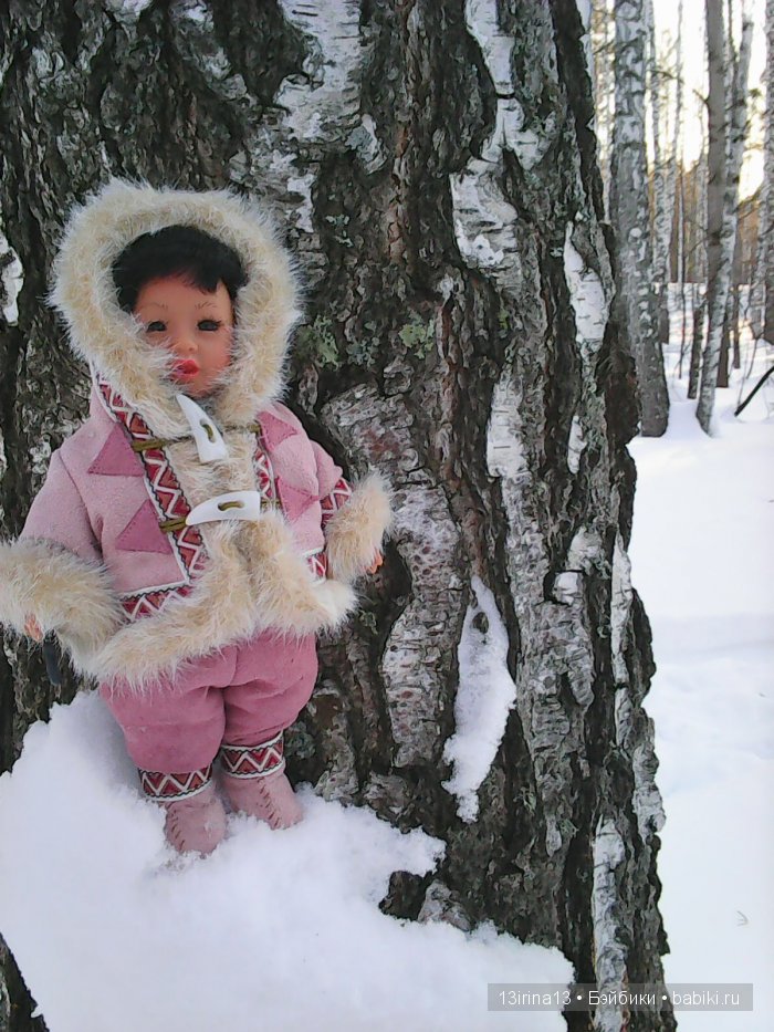 Интересное наблюдение за птицами у кормушки