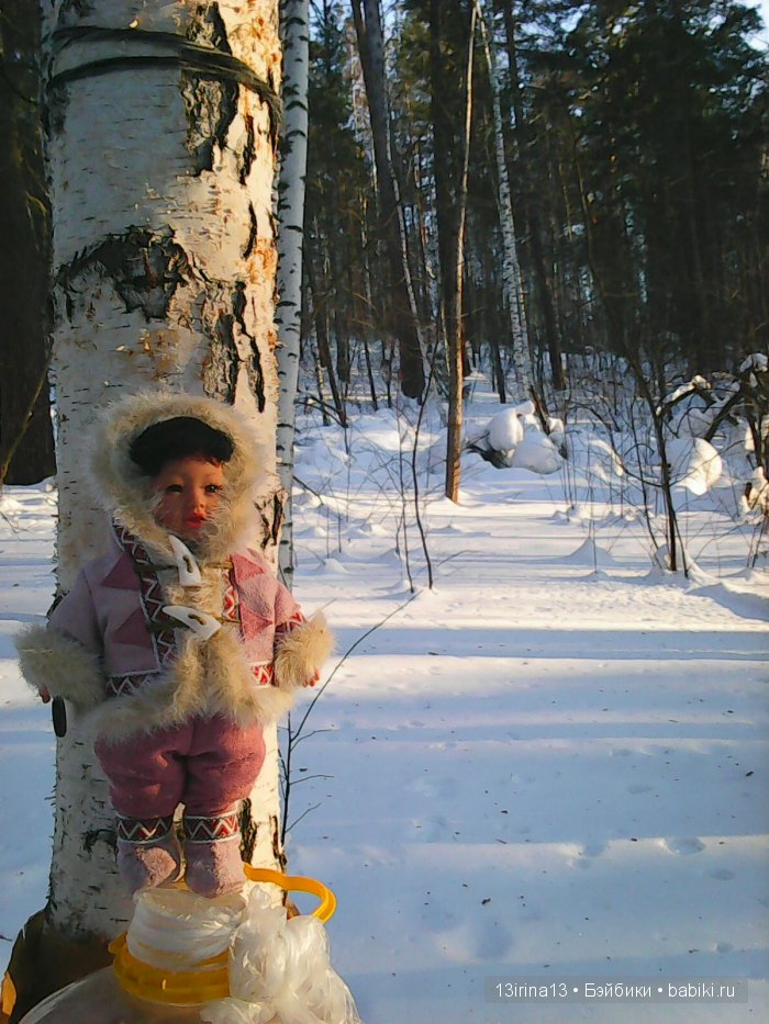 Интересное наблюдение за птицами у кормушки