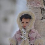 Интересное наблюдение за птицами у кормушки