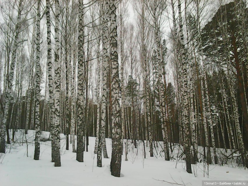 Валенки, мишка и любовь — Разные шарнирные куклы (не БЖД): редкие (фото 2)