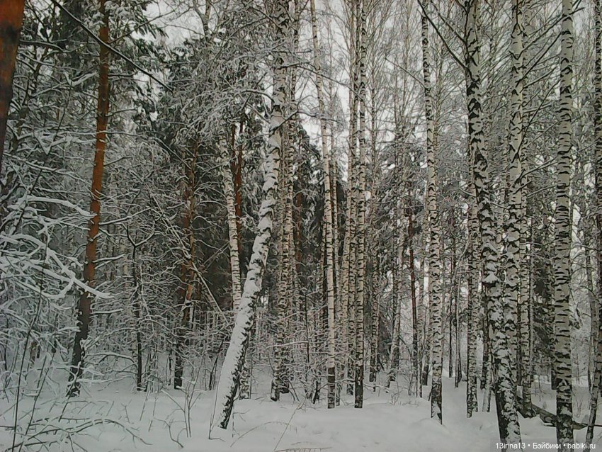 Валенки, мишка и любовь — Разные шарнирные куклы (не БЖД): редкие (фото 4)