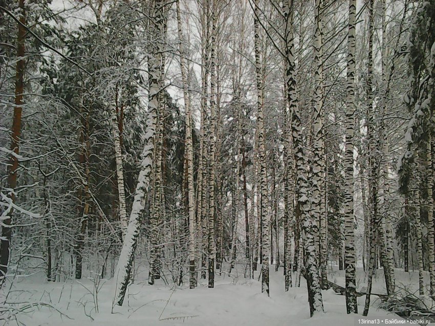Валенки, мишка и любовь — Разные шарнирные куклы (не БЖД): редкие (фото 3)