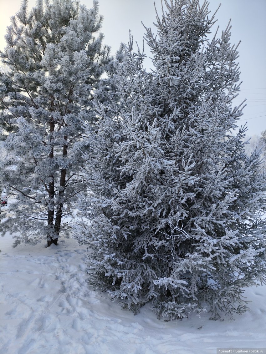 Бывает и такое...из жары да в зиму