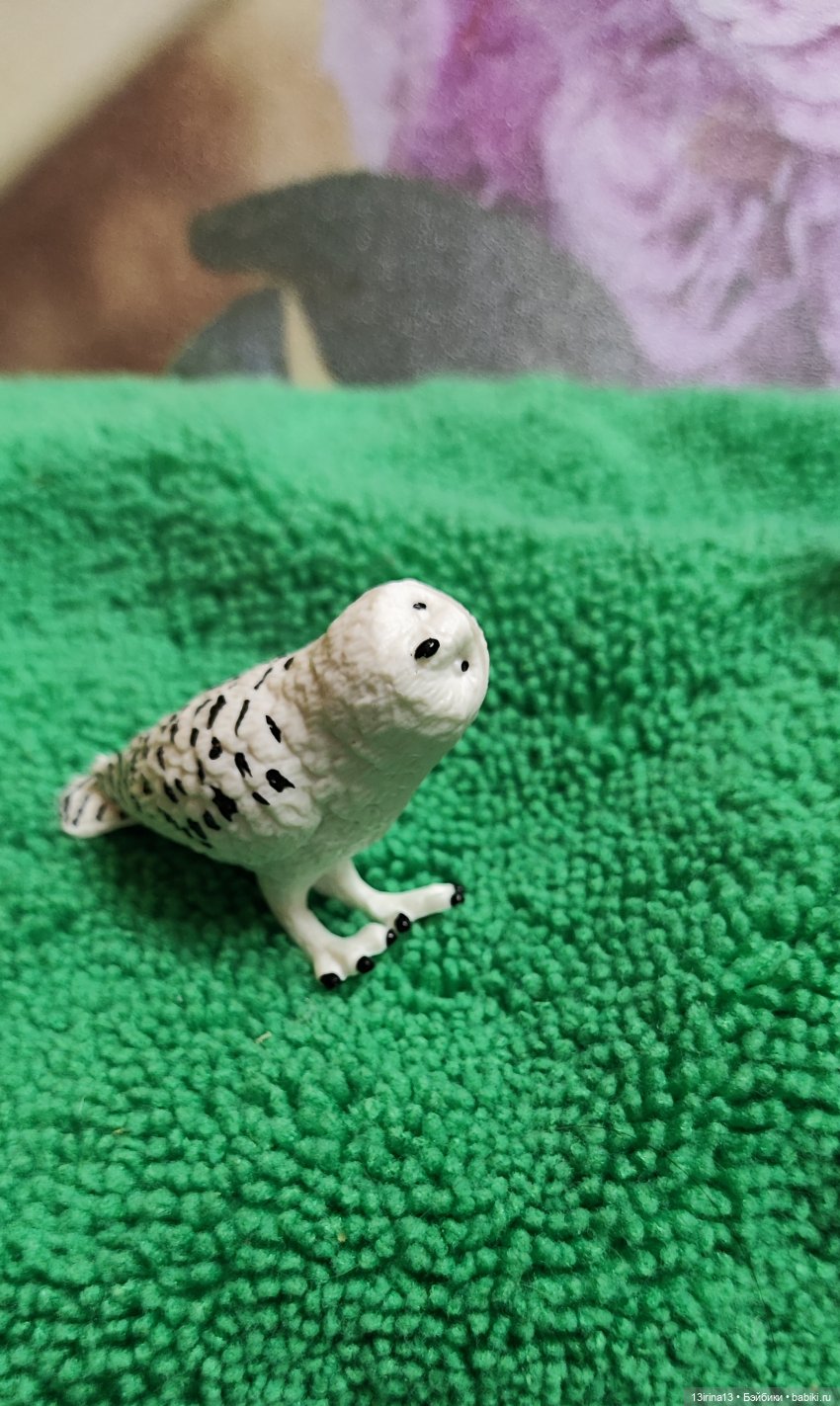 Раскрасим хмурый день в яркие краски радуги