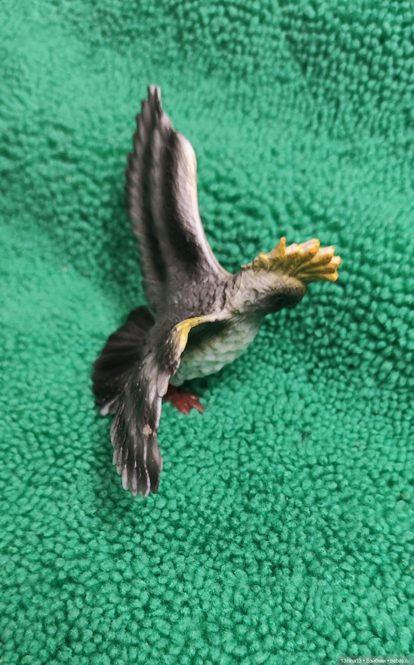 Раскрасим хмурый день в яркие краски радуги