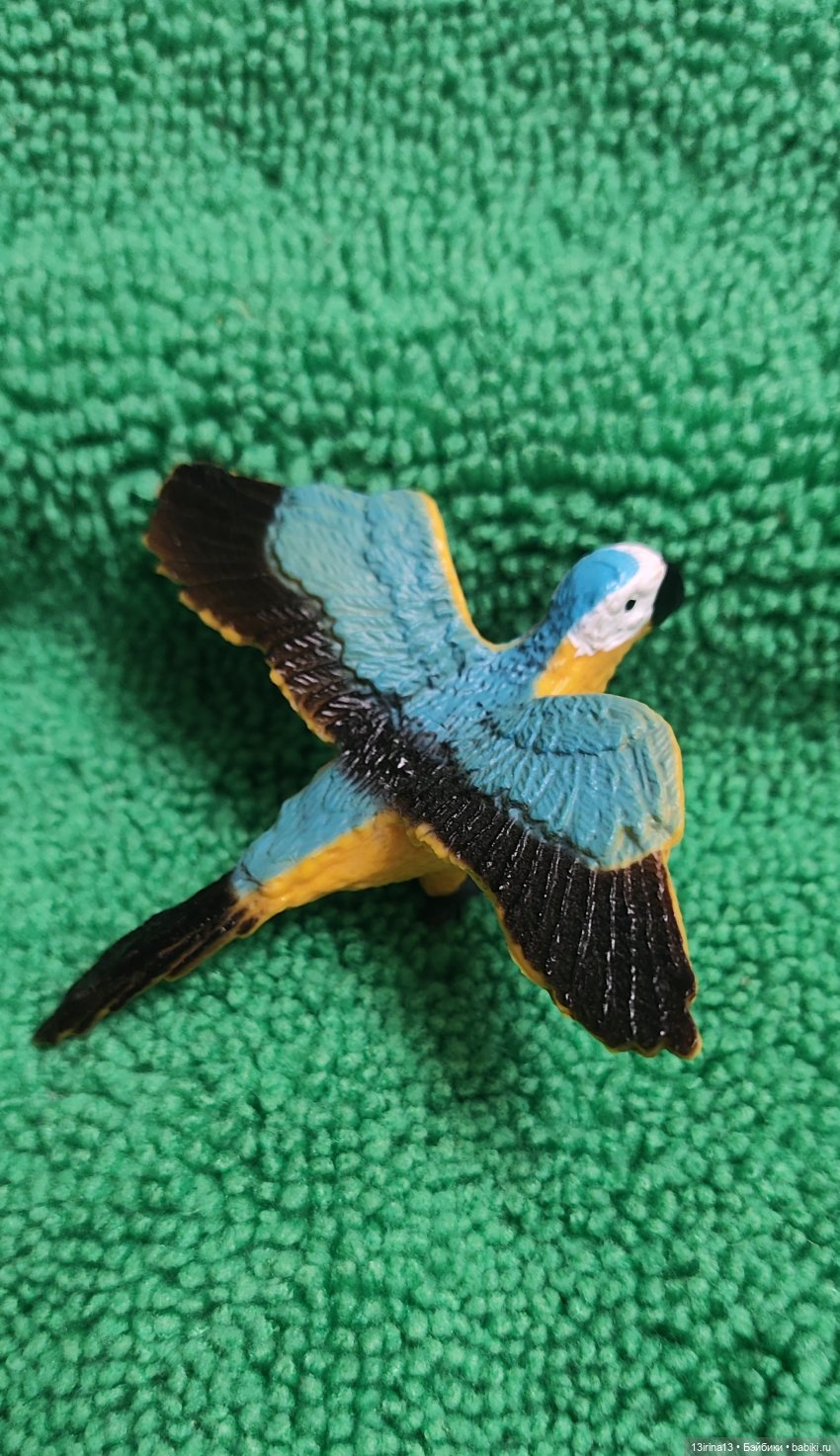 Раскрасим хмурый день в яркие краски радуги