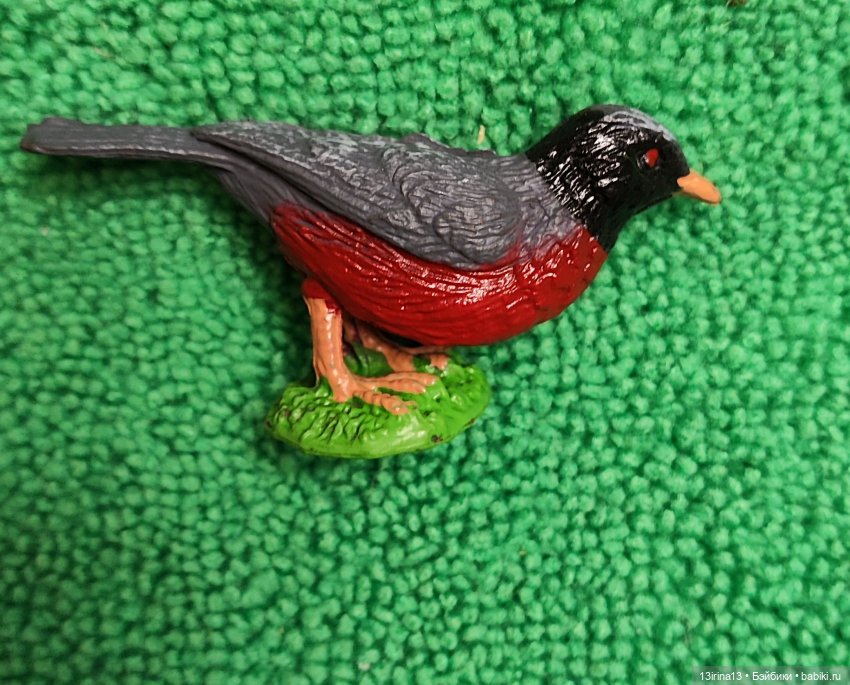 Раскрасим хмурый день в яркие краски радуги