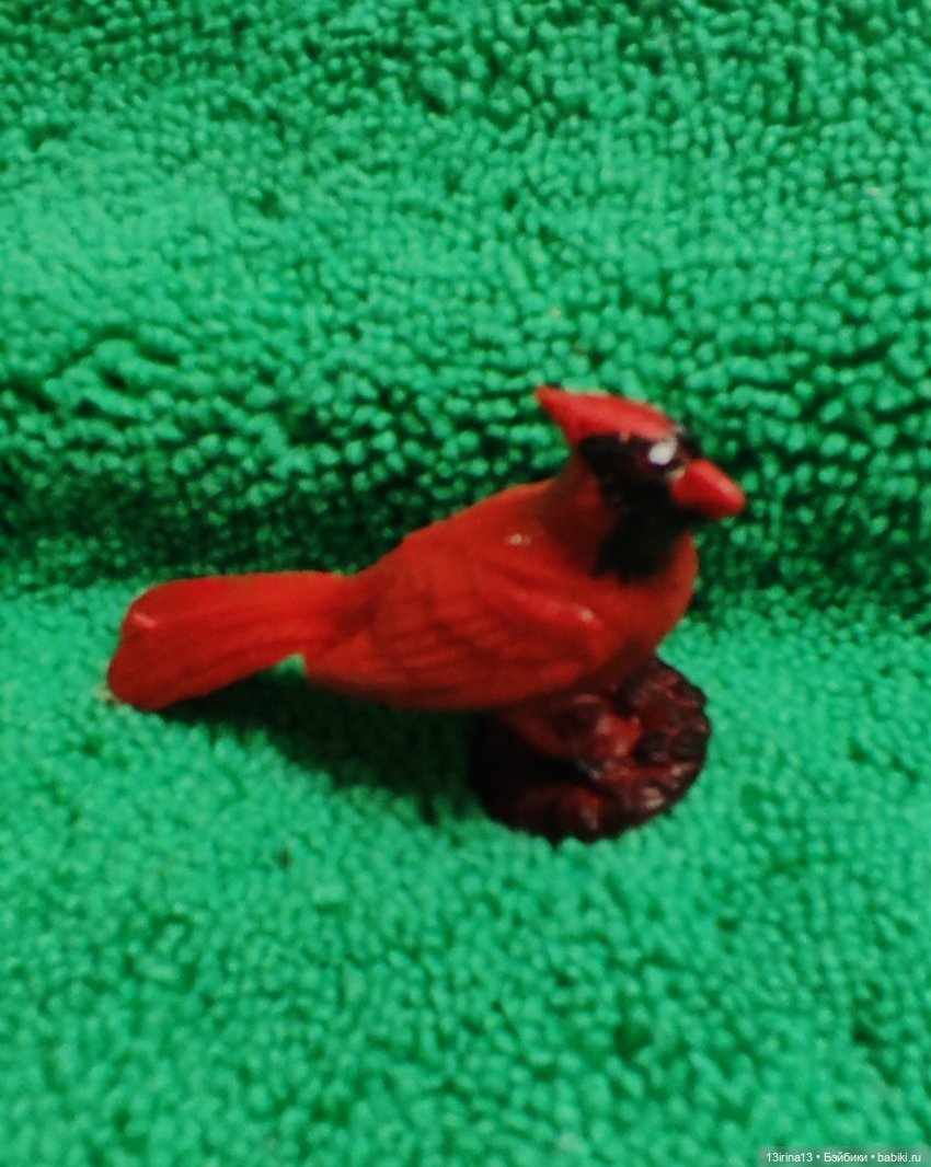 Раскрасим хмурый день в яркие краски радуги