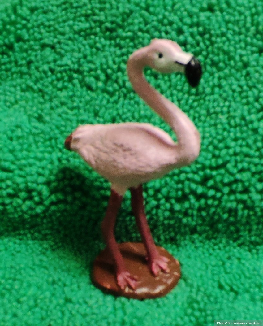 Раскрасим хмурый день в яркие краски радуги