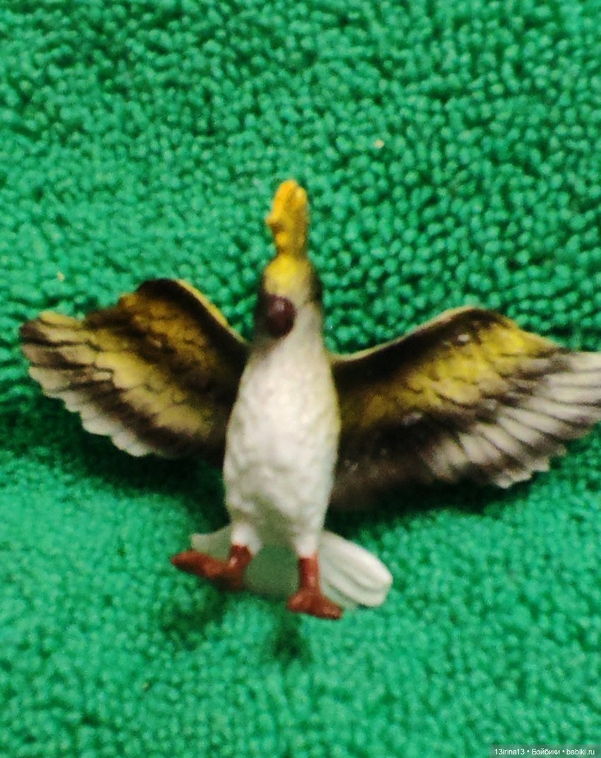 Раскрасим хмурый день в яркие краски радуги