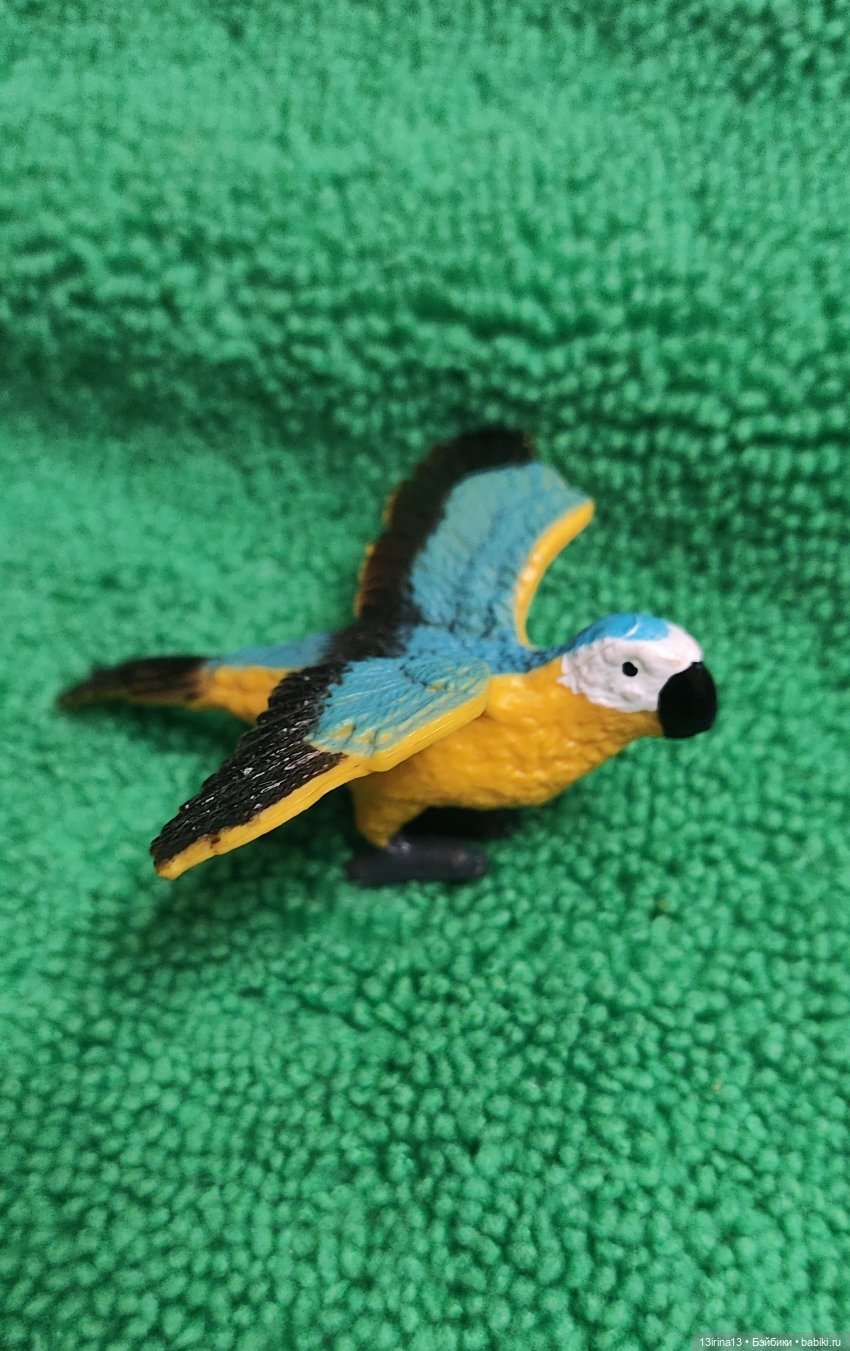 Раскрасим хмурый день в яркие краски радуги