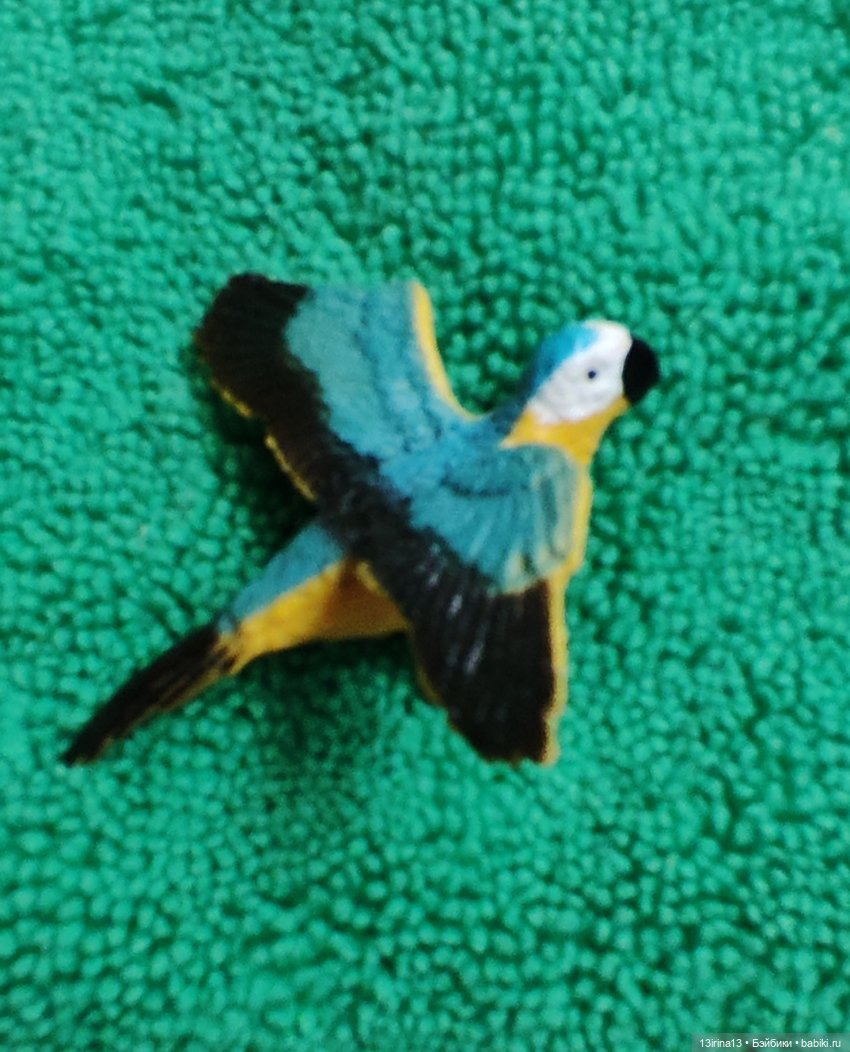 Раскрасим хмурый день в яркие краски радуги