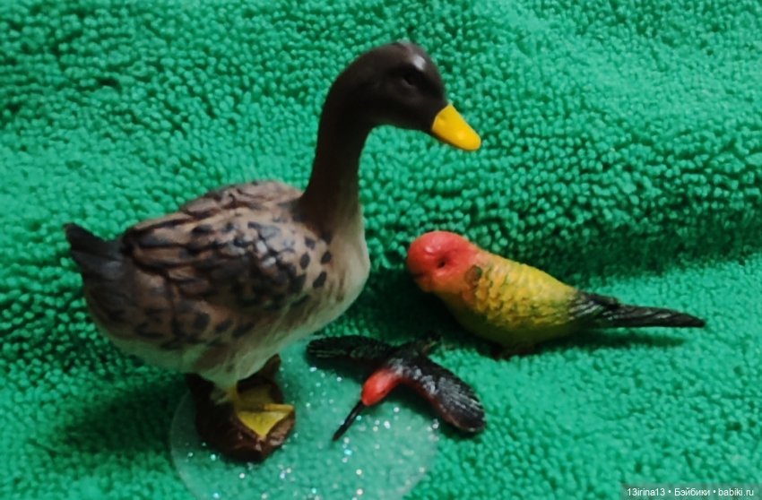 Раскрасим хмурый день в яркие краски радуги