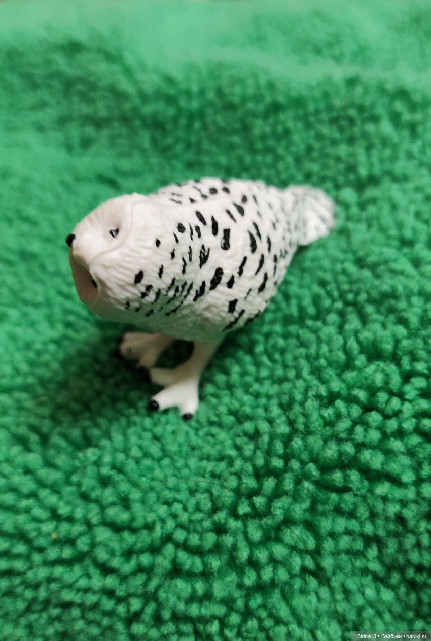 Раскрасим хмурый день в яркие краски радуги