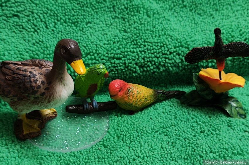 Раскрасим хмурый день в яркие краски радуги