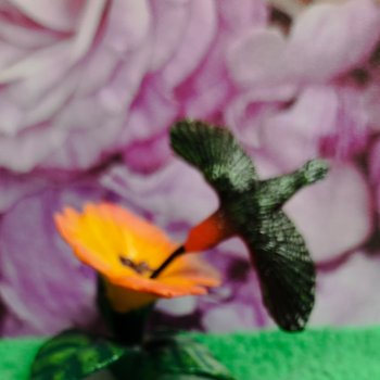 Раскрасим хмурый день в яркие краски радуги!