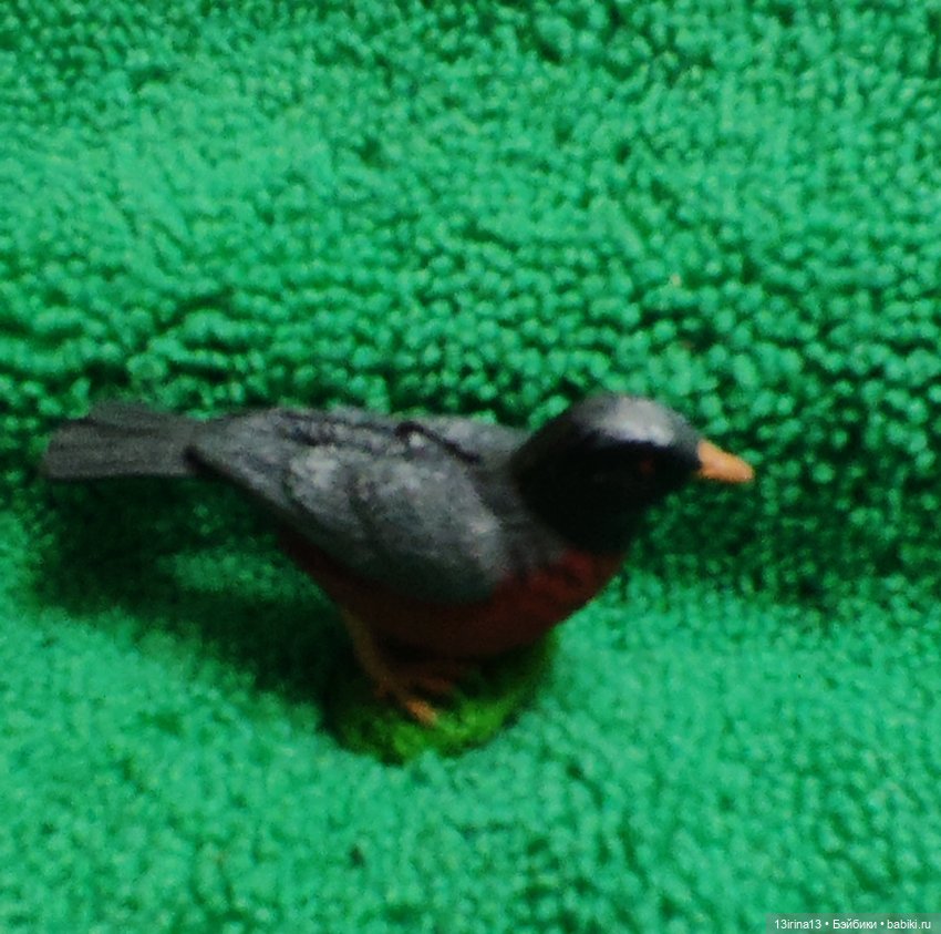 Раскрасим хмурый день в яркие краски радуги