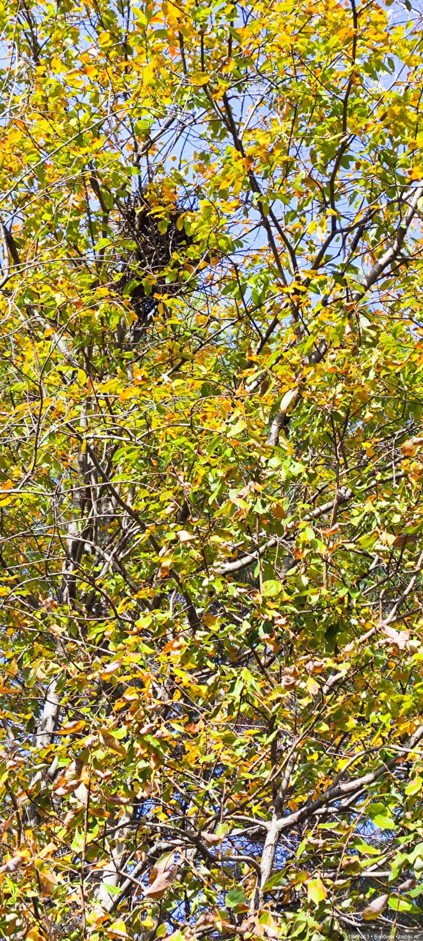 Встречаем октябрь — Болталка и разговоры обо всем: жизнь (фото 7)