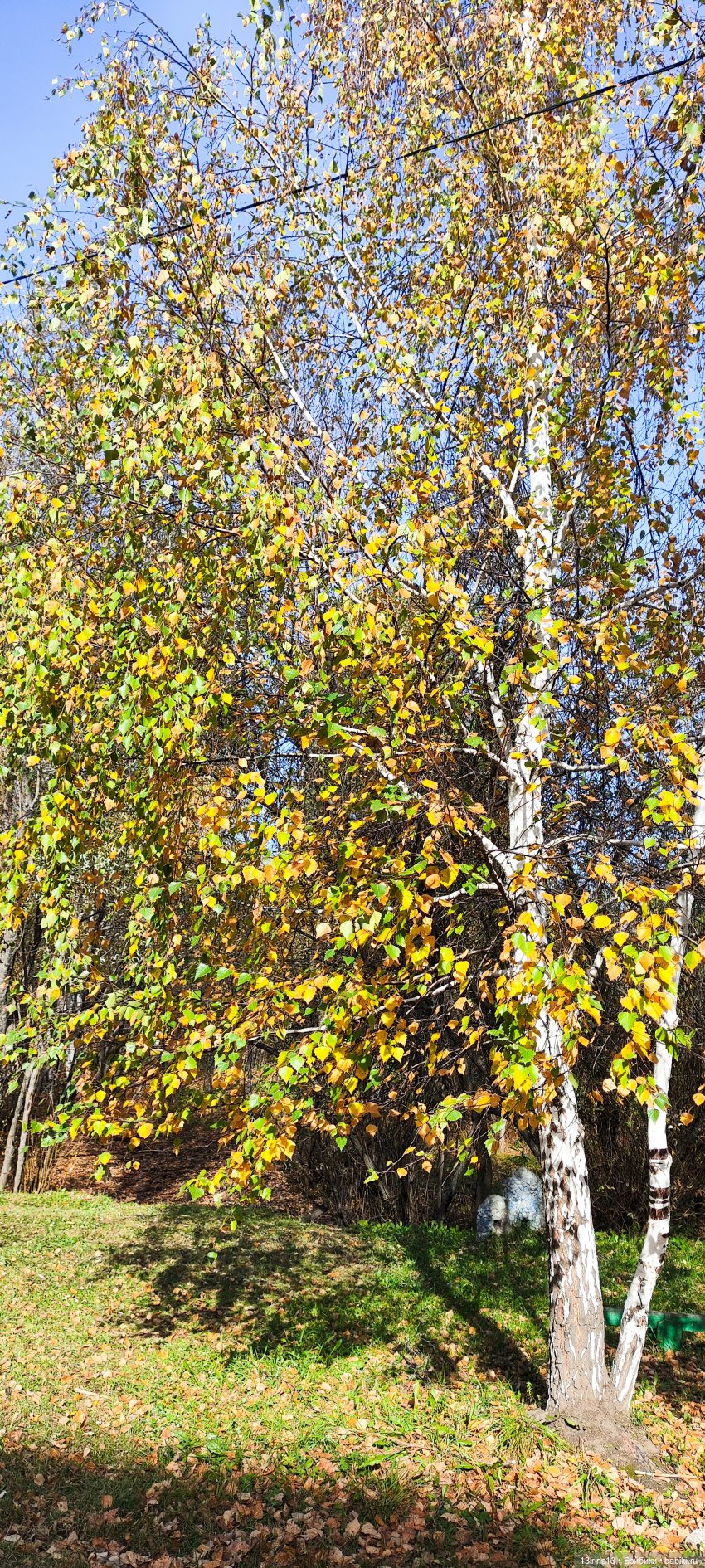 Встречаем октябрь — Болталка и разговоры обо всем: жизнь (фото 4)