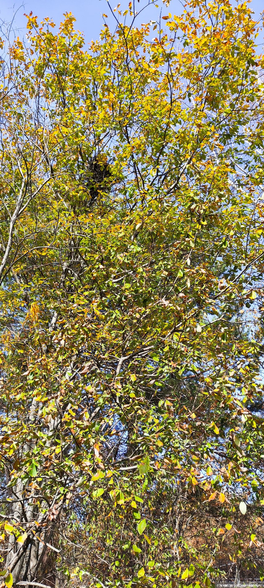 Встречаем октябрь — Болталка и разговоры обо всем: жизнь (фото 6)