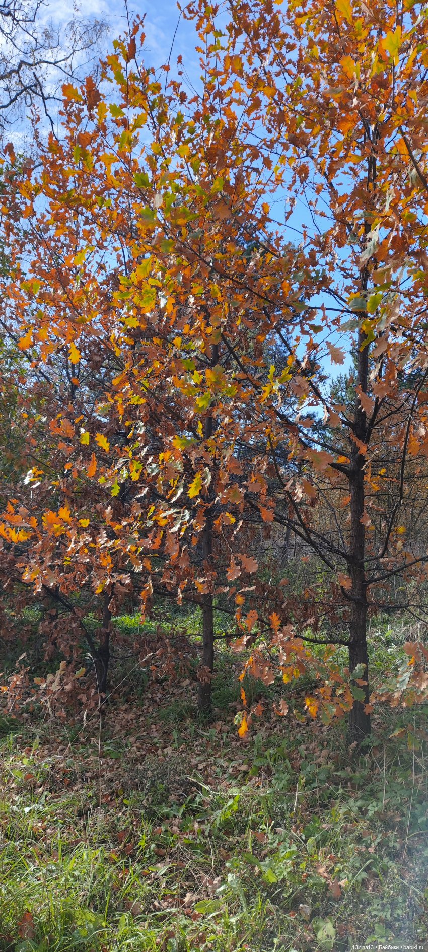 Встречаем октябрь — Болталка и разговоры обо всем: жизнь