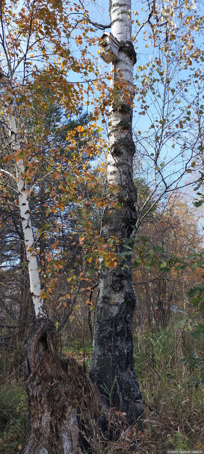 Встречаем октябрь — Болталка и разговоры обо всем: жизнь (фото 10)