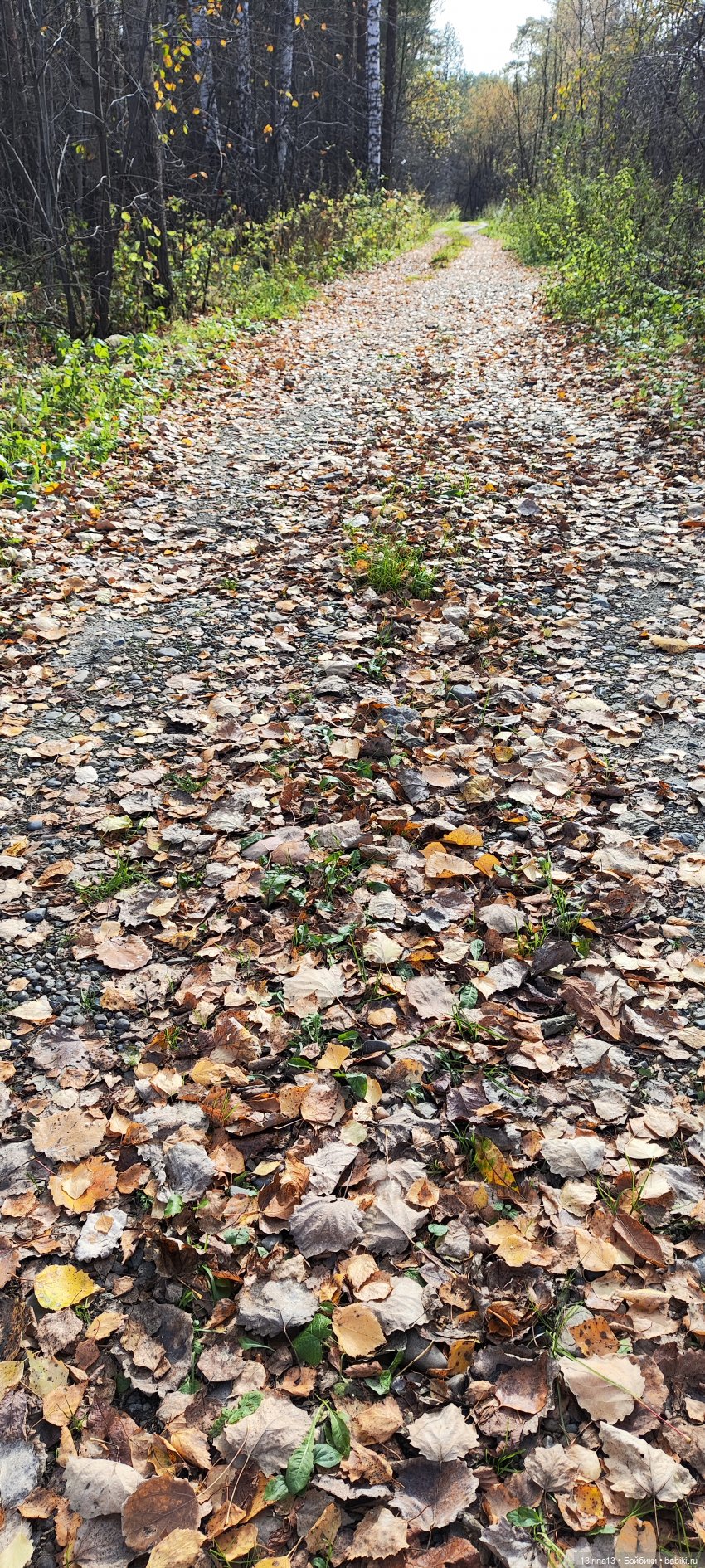 Встречаем октябрь — Болталка и разговоры обо всем: жизнь (фото 3)