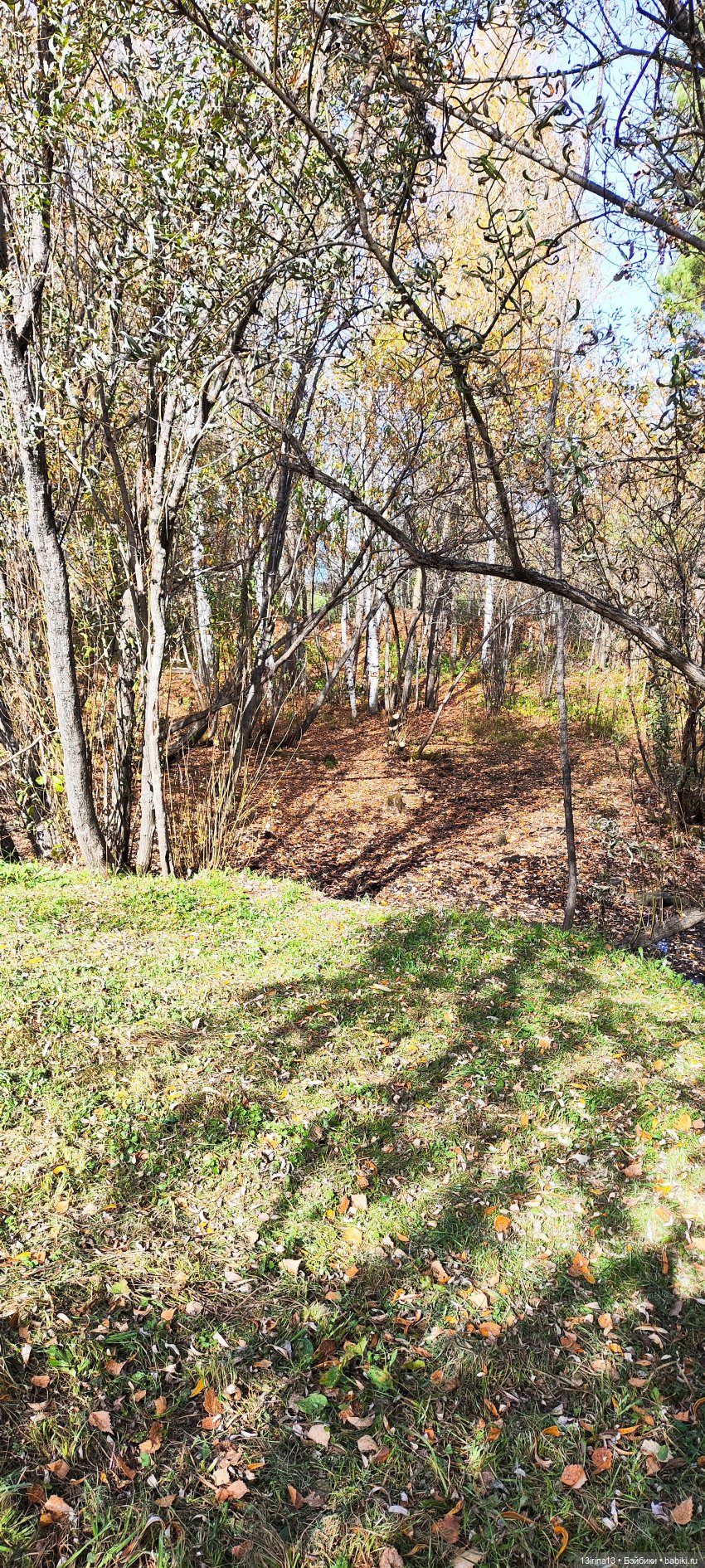 Встречаем октябрь — Болталка и разговоры обо всем: жизнь (фото 8)