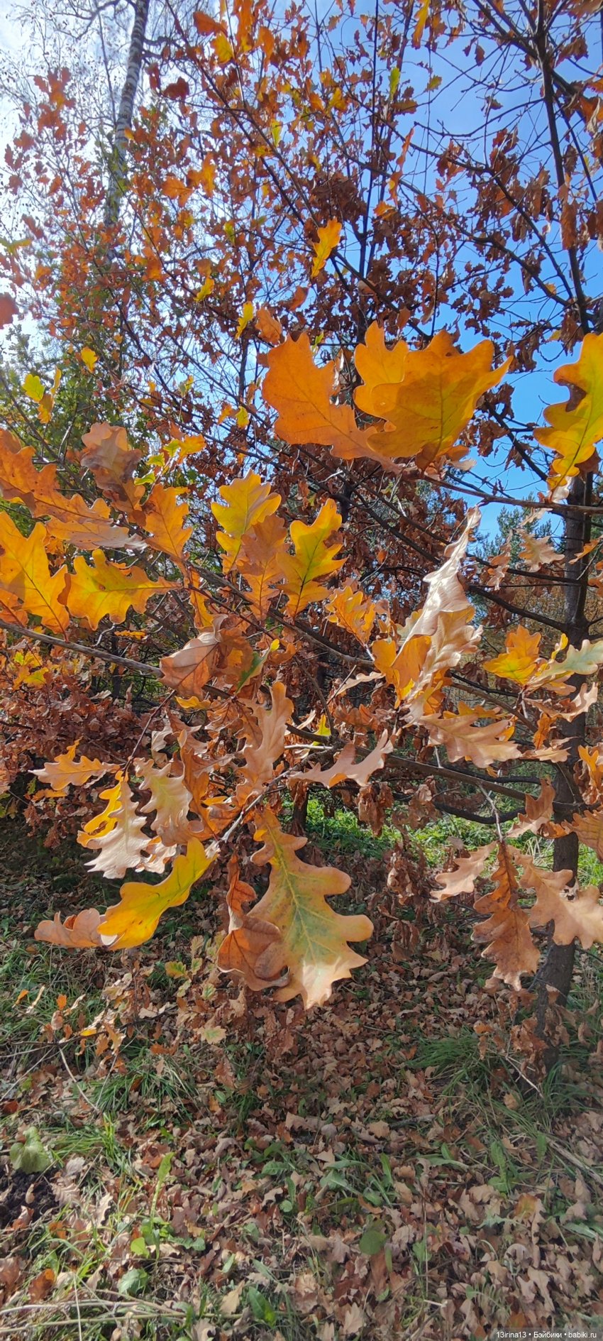 Встречаем октябрь — Болталка и разговоры обо всем: жизнь