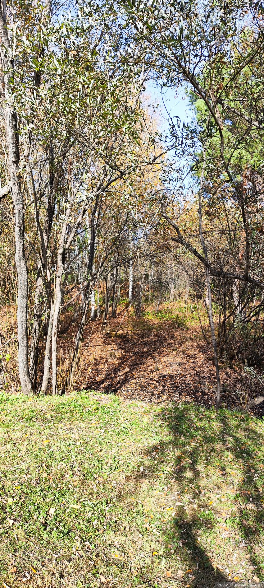 Встречаем октябрь — Болталка и разговоры обо всем: жизнь (фото 9)