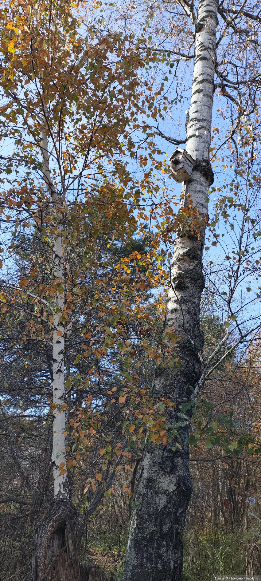 Встречаем октябрь — Болталка и разговоры обо всем: жизнь