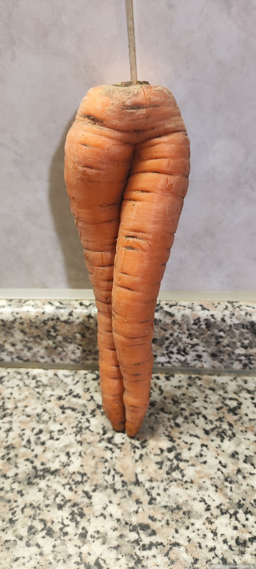 Морковная перезагрузка — Интересное и необычное: фотоподборки (фото 3)