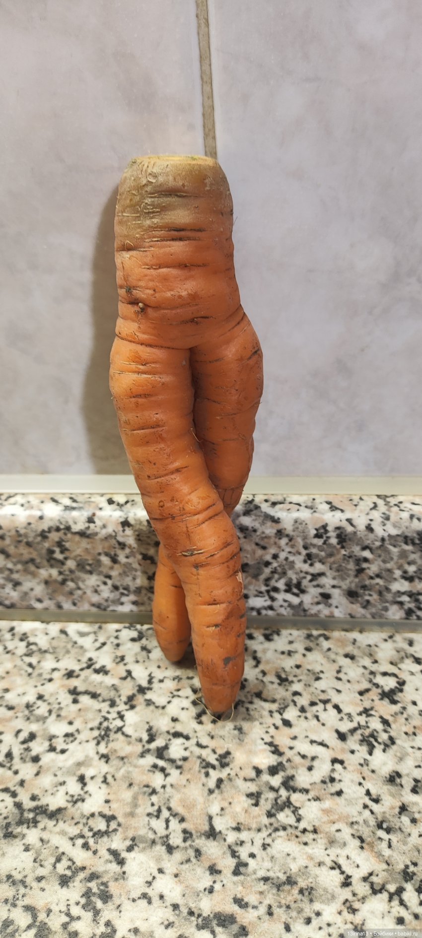 Морковная перезагрузка — Интересное и необычное: фотоподборки (фото 4)