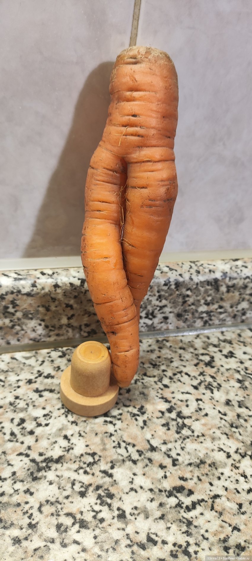 Морковная перезагрузка — Интересное и необычное: фотоподборки (фото 5)