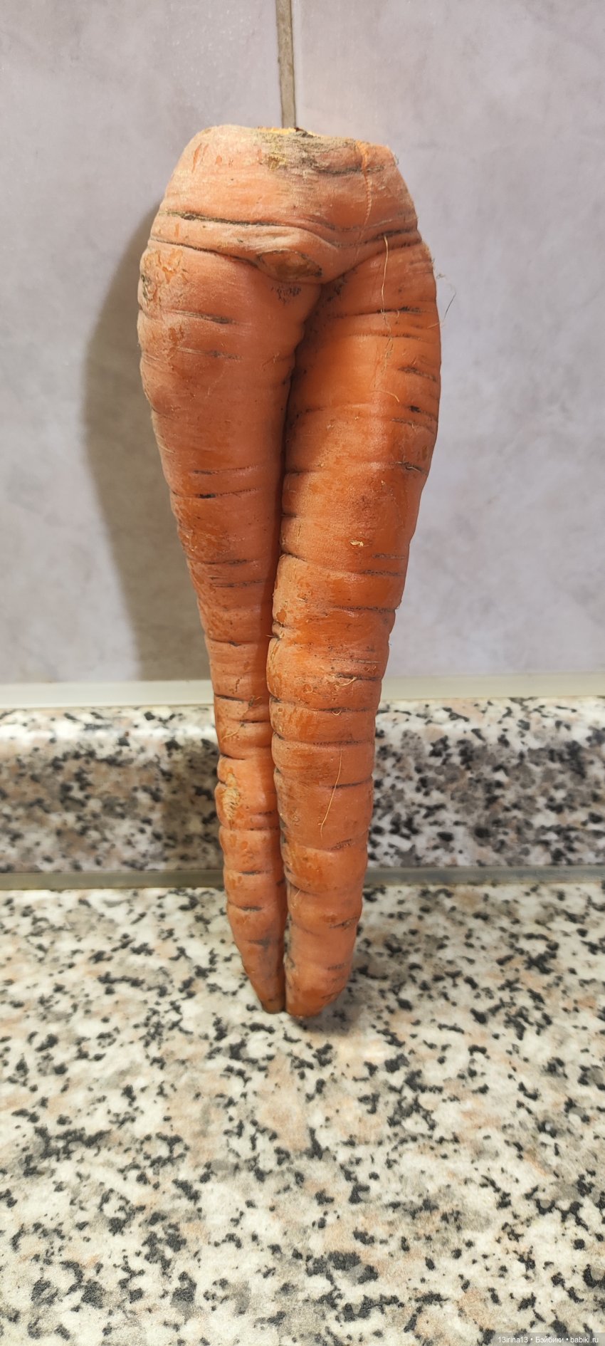 Морковная перезагрузка — Интересное и необычное: фотоподборки (фото 2)