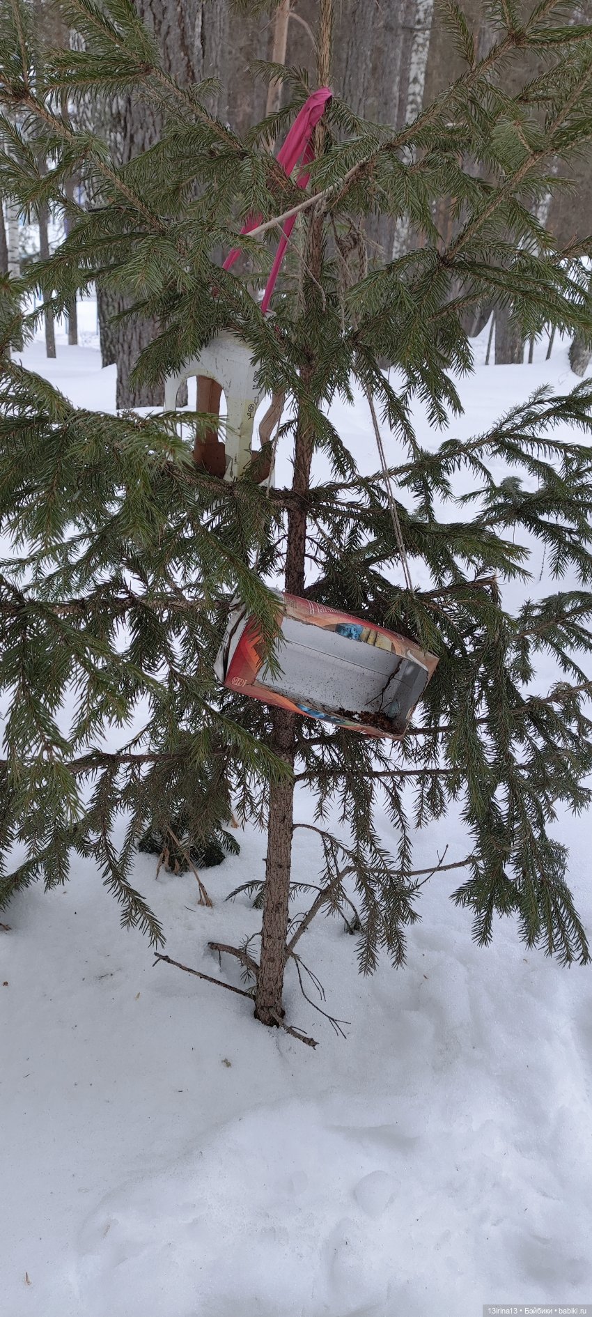 Снег, Капустка и кормушки