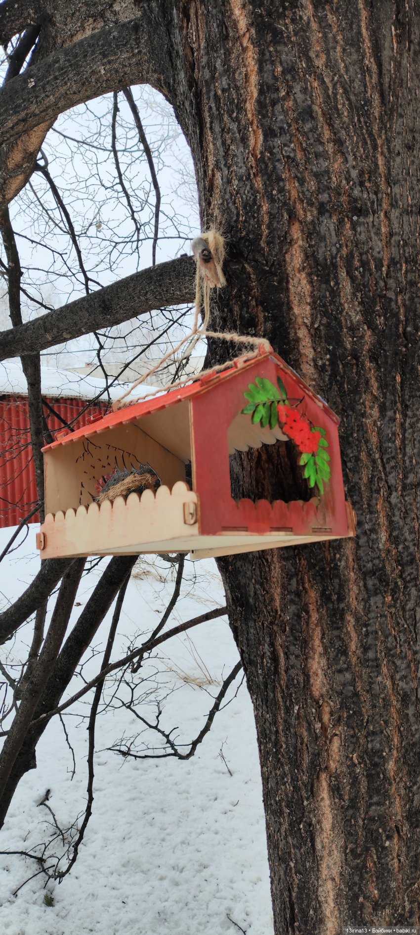 Снег, Капустка и кормушки