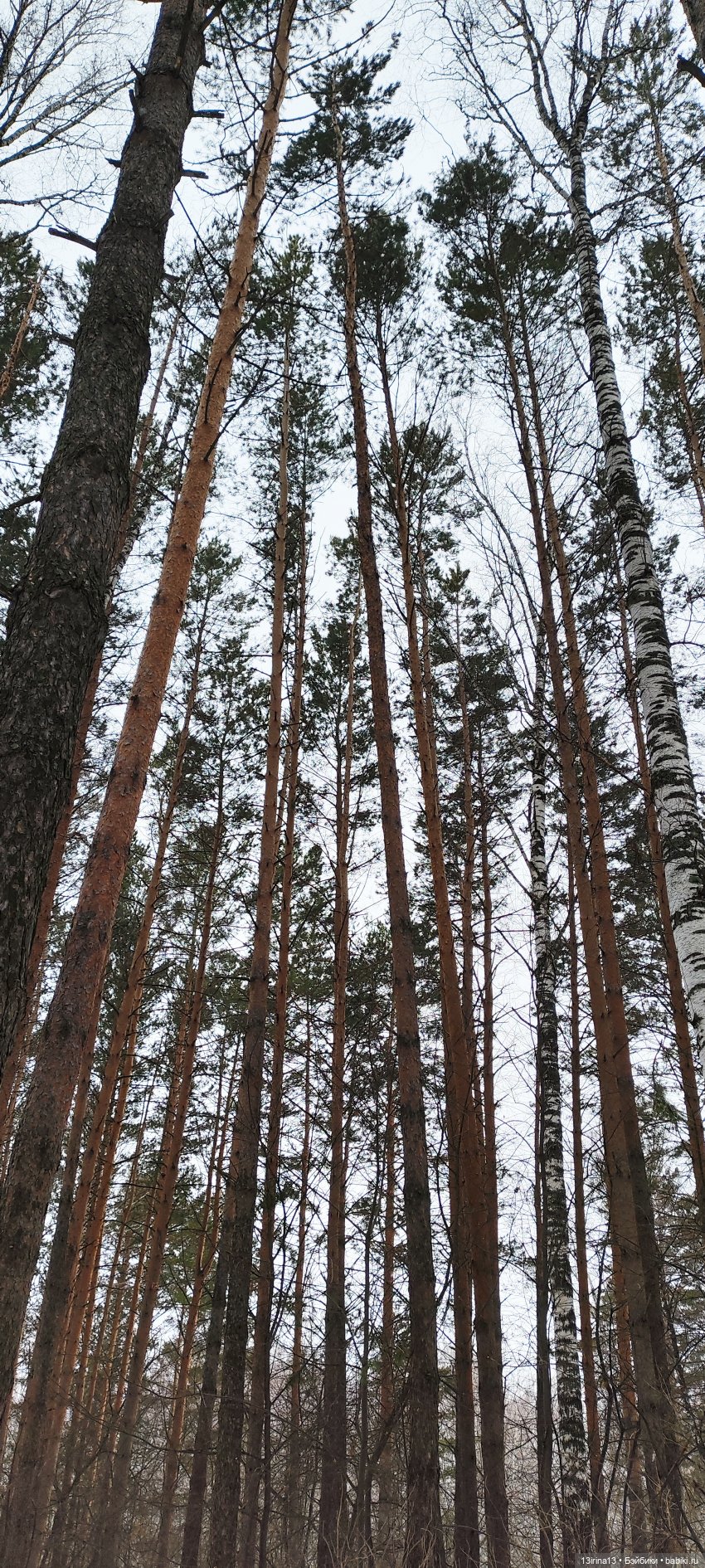 Снег, Капустка и кормушки (фото 5)