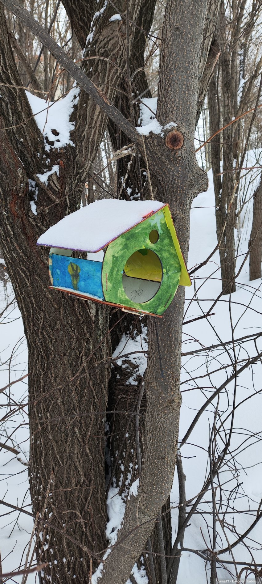 Снег, Капустка и кормушки
