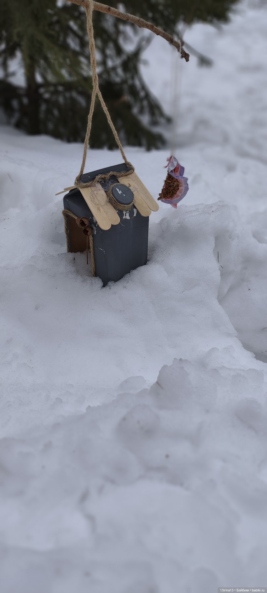 Снег, Капустка и кормушки
