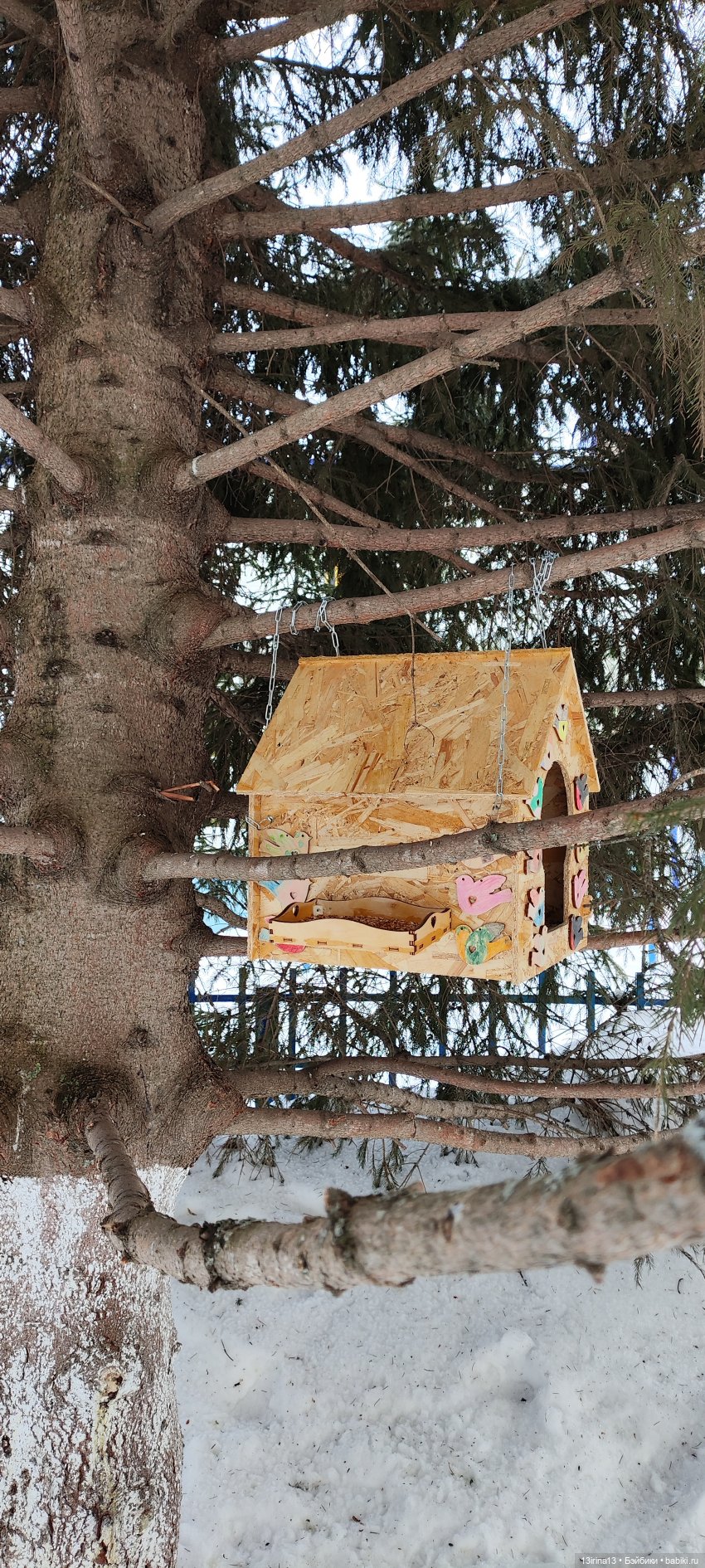 Снег, Капустка и кормушки