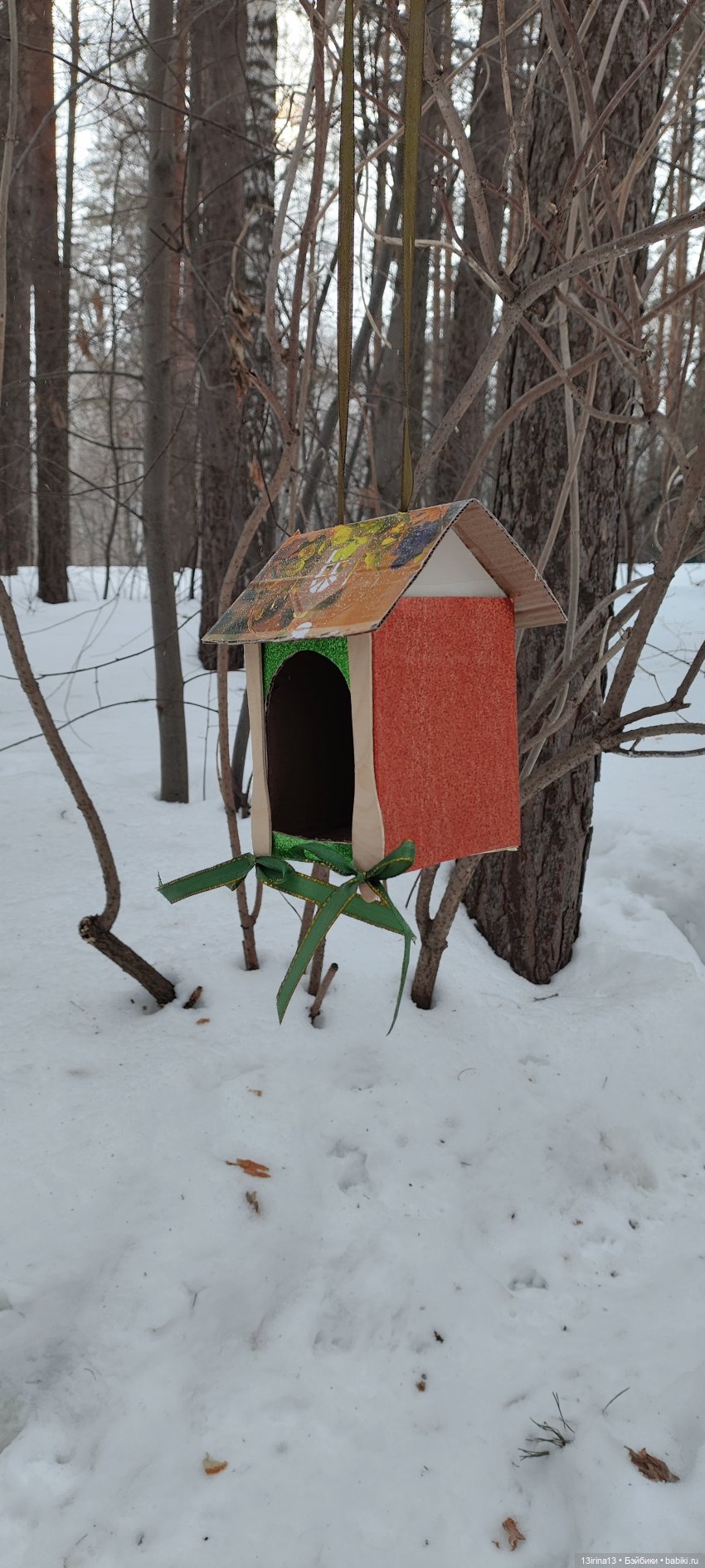 Снег, Капустка и кормушки