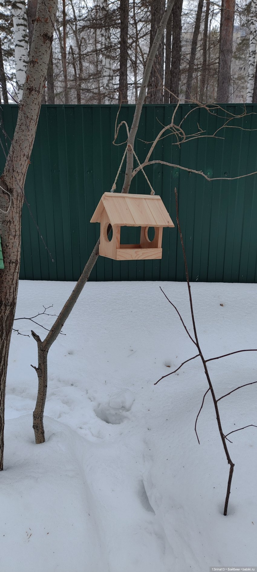 Снег, Капустка и кормушки